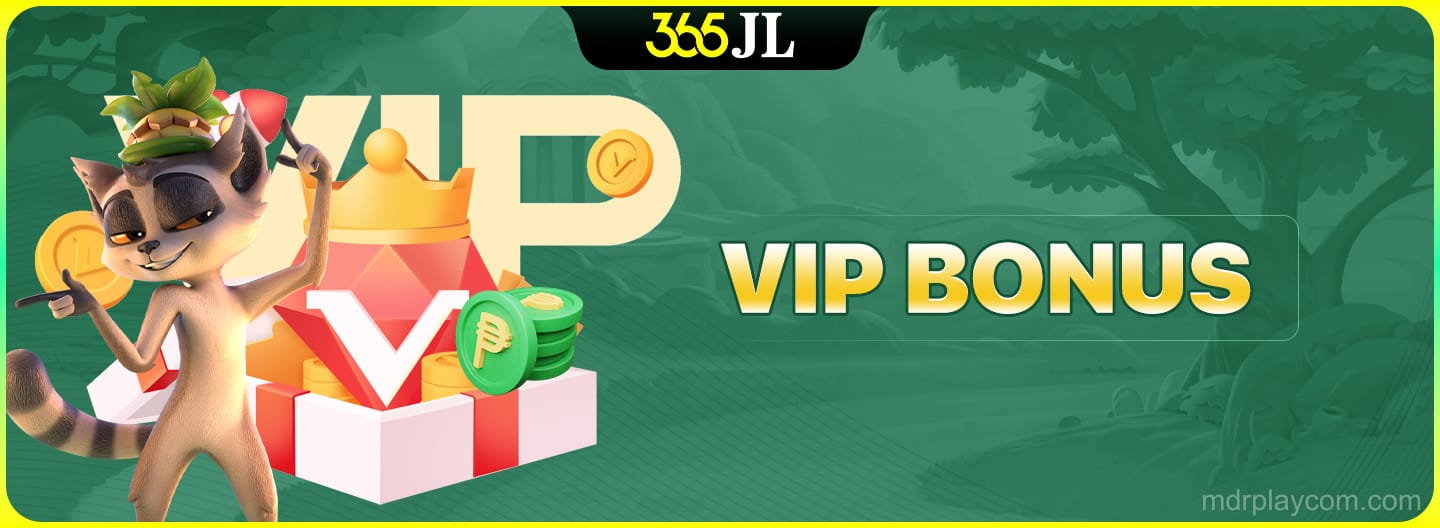 VIP Bonus Program